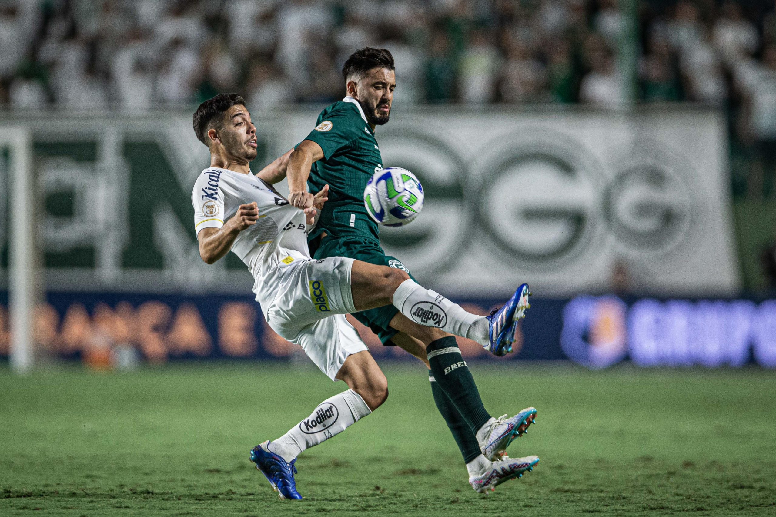 Santos x Goiás: Palpites, escalações e onde assistir - 19/06/2024