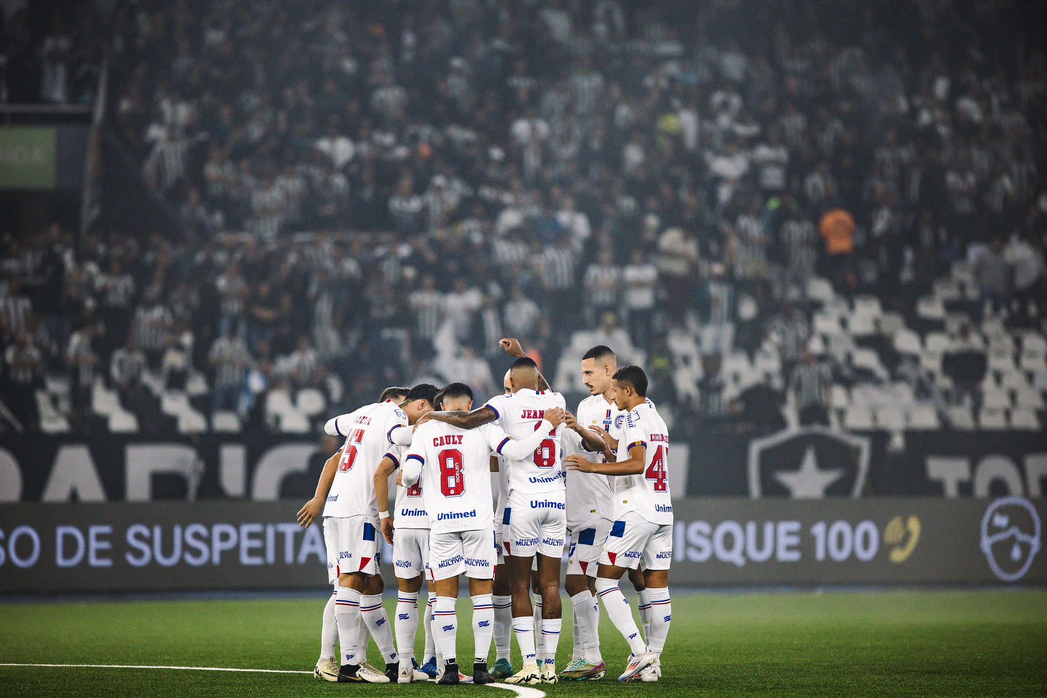 Bahia x Botafogo: palpites, escalações e onde assistir - 25/08/2024