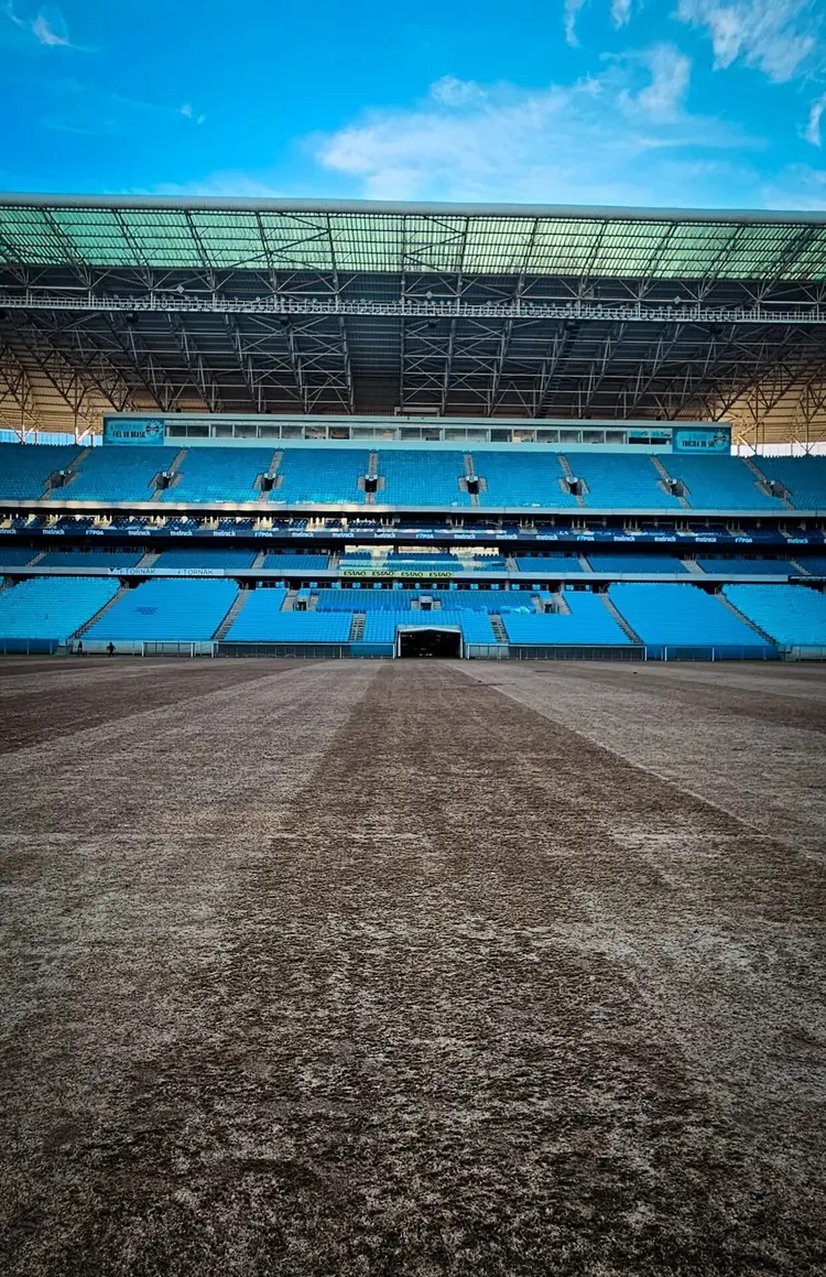 Arena do Grêmio inicia limpeza após enchente e encontra peixe