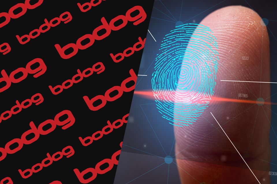 Bodog Registro