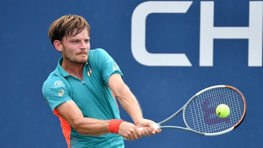 David Goffin vs. Diego Schwartzman Prediction, Betting Tips & Odds │20 OCTOBER, 2022