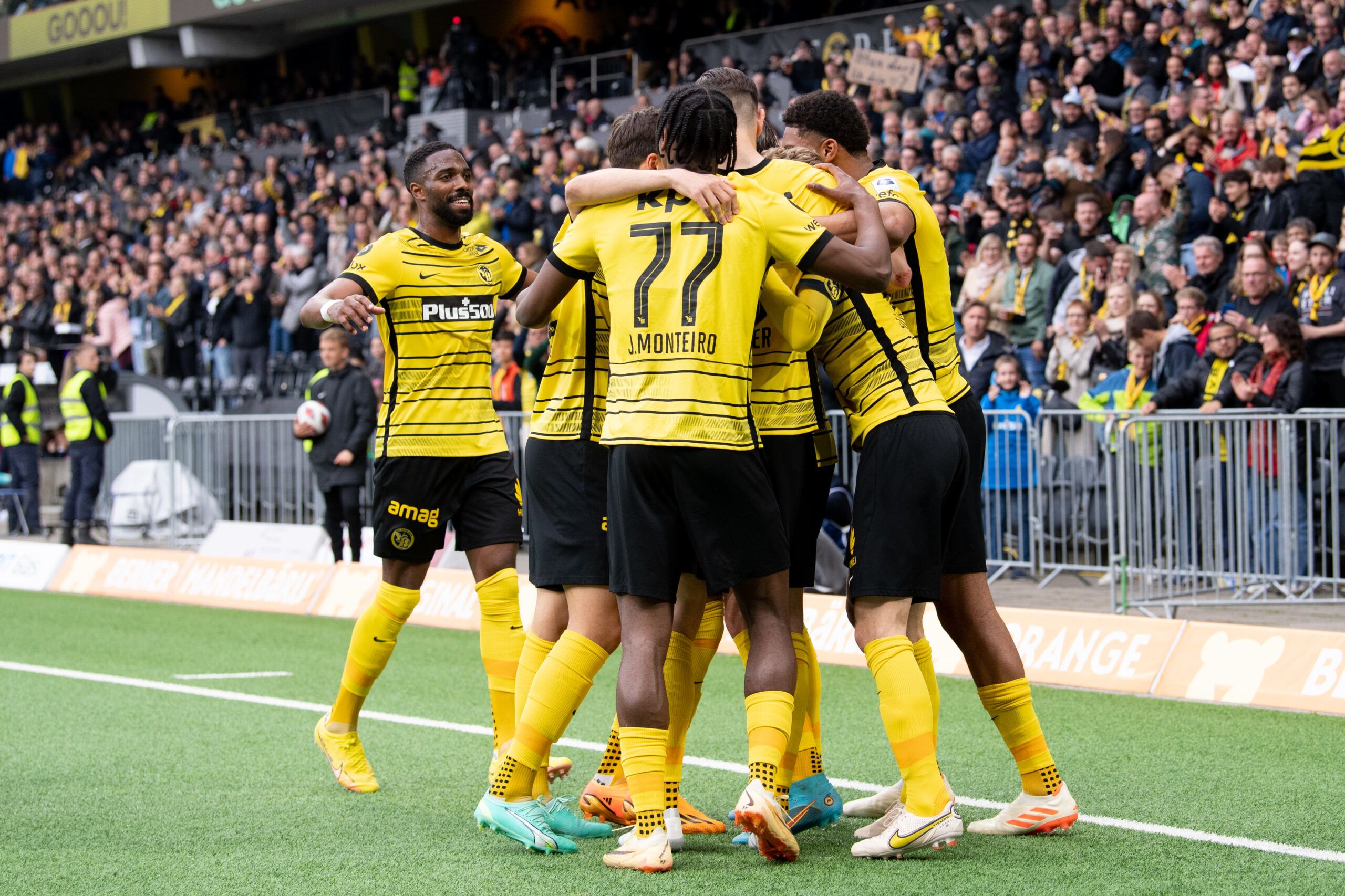 Young Boys vs Luzern Prediction, Betting Tips & Odds │19 October, 2024 