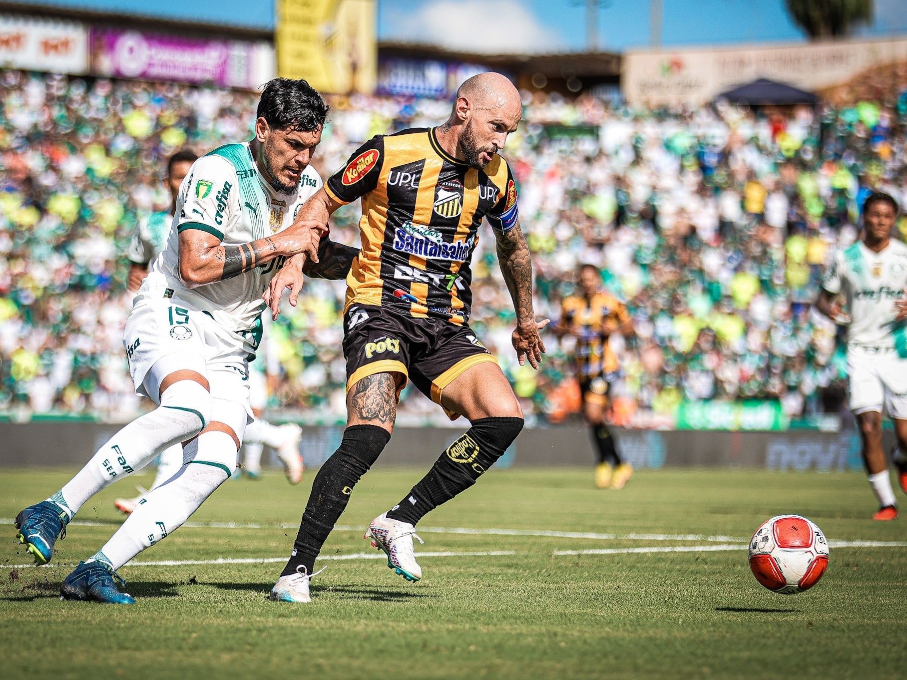 Palmeiras vs Novorizontino Prediction, Betting, Tips, and Odds | 29 MARCH 2024