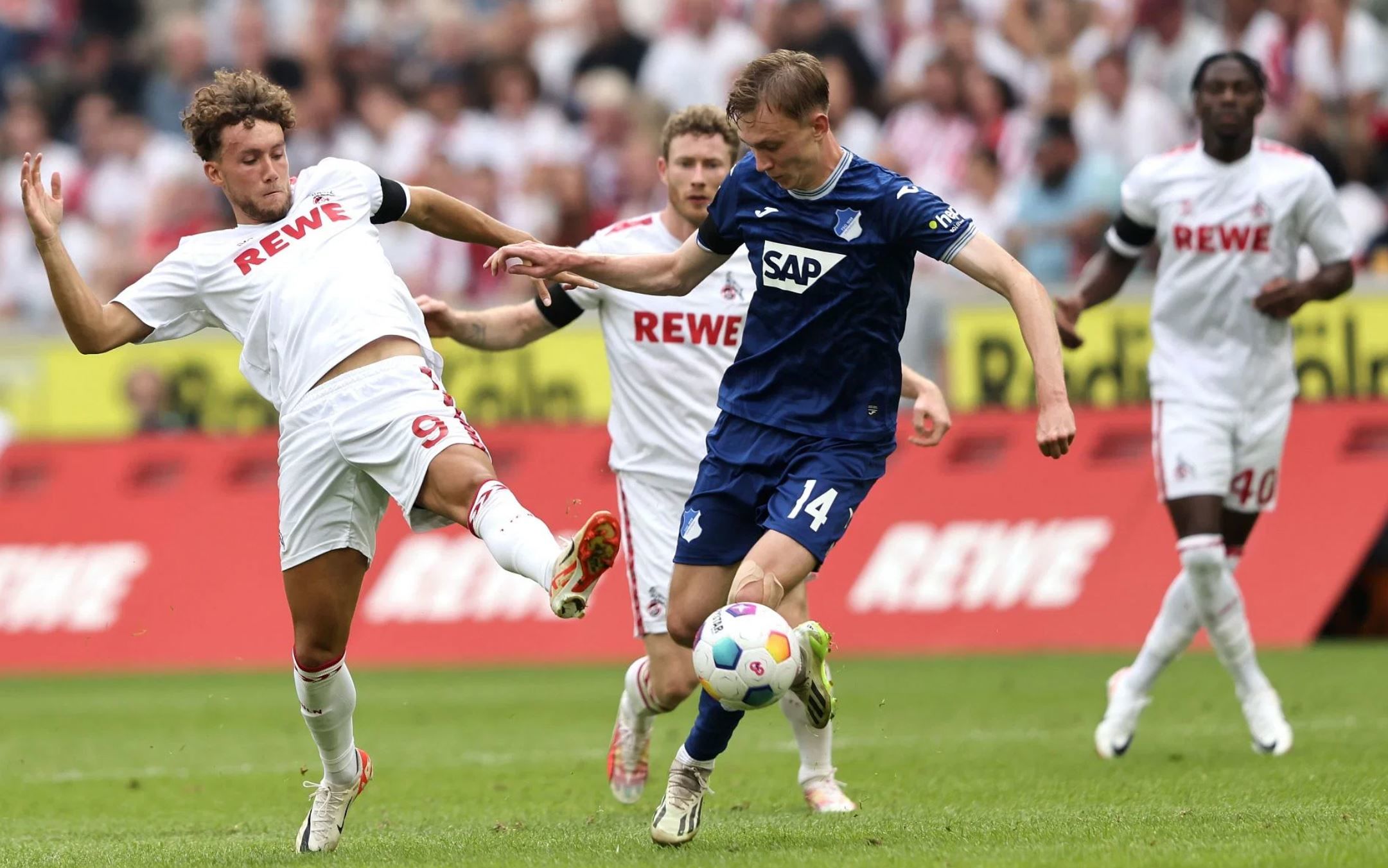 TSG1899 Hoffenheim vs FC Koln Prediction, Betting Tips & Odds │11 FEBRUARY, 2024