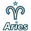 Aster.Aries