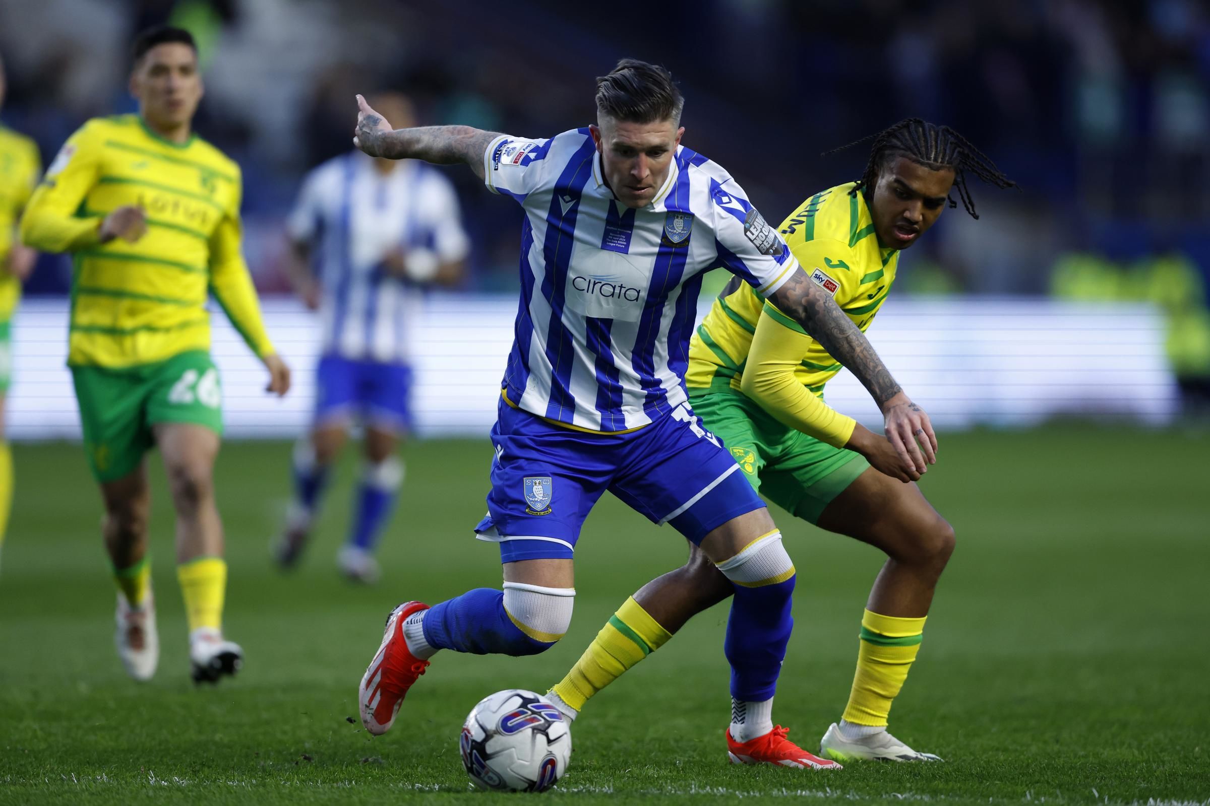 Sheffield Wednesday vs. Norwich City. Pronostico, Apuestas y Cuotas│5 de noviembre de 2024