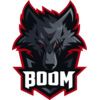 BOOM Esports (для прогнозов)