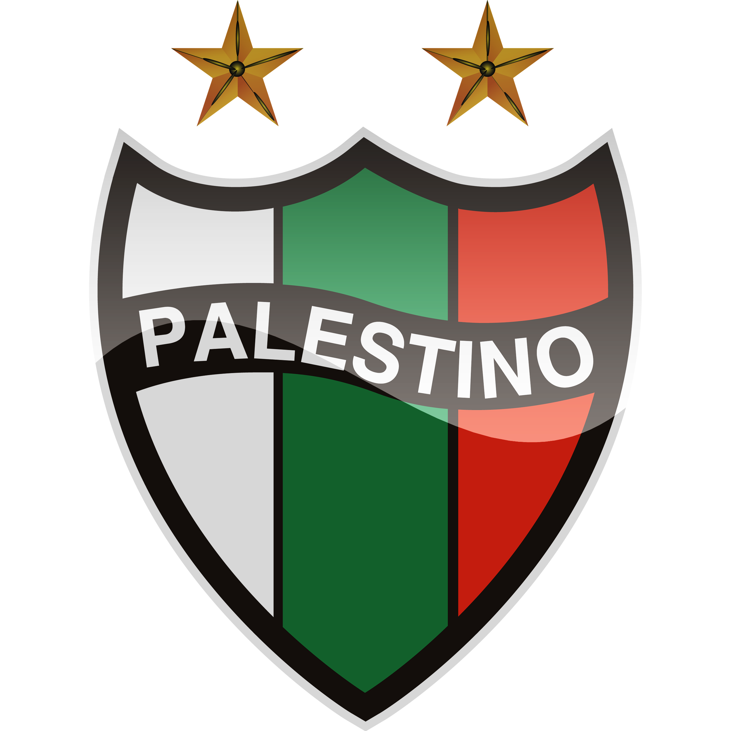 Club Deportivo Palestino