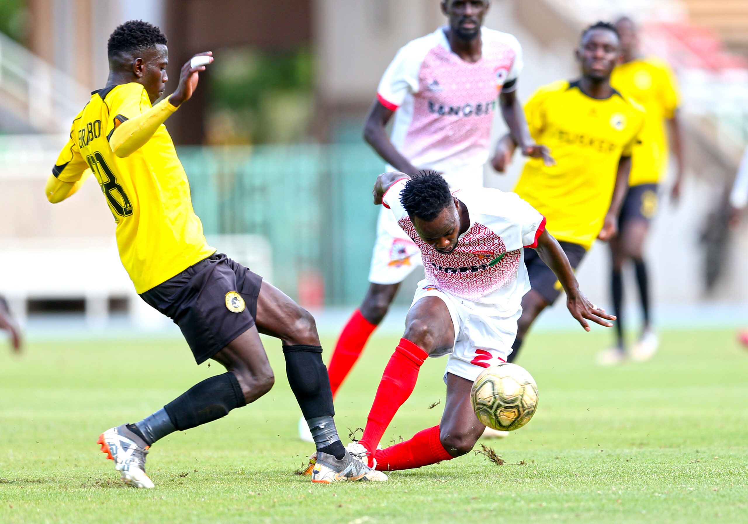 Shabana vs Tusker Prediction, Betting Tips & Odds │11 FEBRUARY, 2024