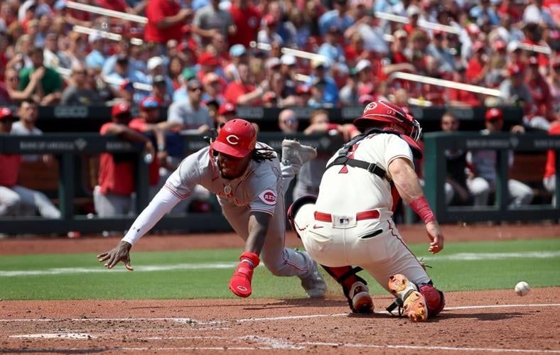 Cincinnati Reds vs St Louis Cardinals Prediction, Betting Tips and Odds | 12 August 2024