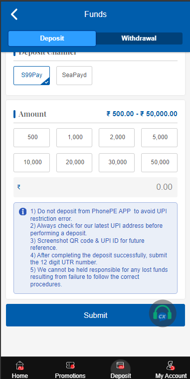 Depositing Funds in Wallet