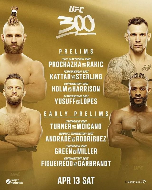 UFC 300