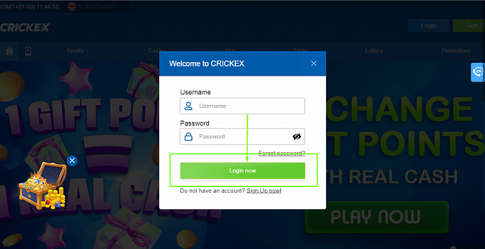 Crickex Sportsbook Login Process