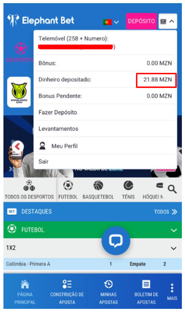 Saldo da conta Elephant Bet mobile