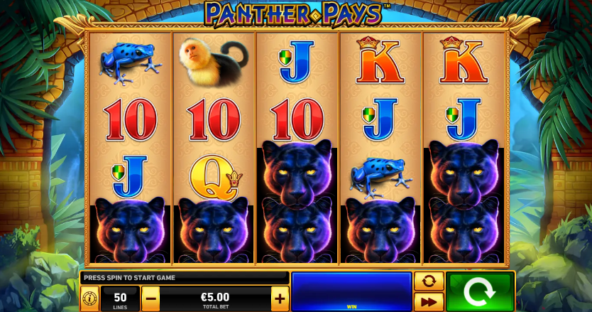 How to Play Panther Pays