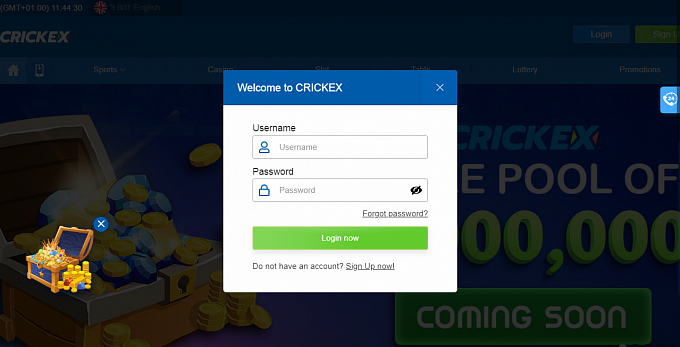 Crickex Sportsbook Login Process