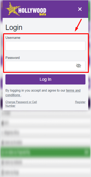 How to Log In to Hollyywoodbets Accounts Image