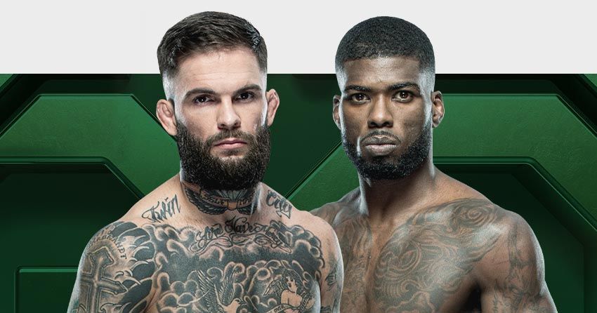 Cody Garbrandt vs. Miles Johns