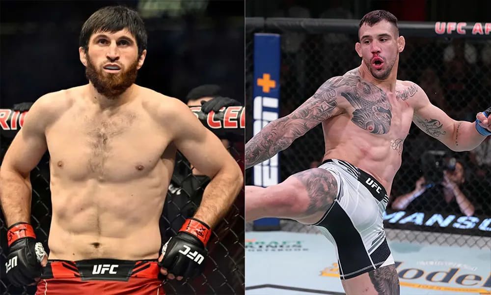 Magomed Ankalaev vs. Aleksandar Rakic